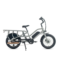 E-Lastenfahrrad Jobobike Transer E-Bike 20 Zoll Grün 1 Akku