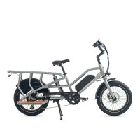 E-Lastenrad Jobobike Transer E-Bike 20 Zoll Grün 1 Akku