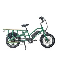 E-Lastenrad Jobobike Transer E-Bike 20 Zoll Grün 2 Akkus