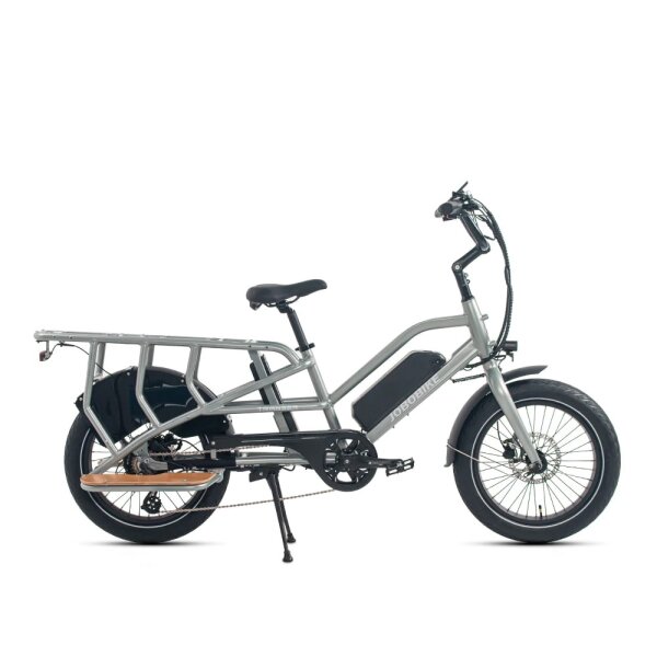 E-Lastenrad Jobobike Transer E-Bike 20 Zoll Grau 2 Akkus