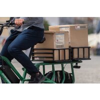 E-Lastenrad Jobobike Transer E-Bike 20 Zoll Grau 2 Akkus