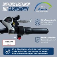 2er Pack Camp-20D & 20H Falt Pedelec/E-Bike 20 Zoll Schwarz smartEC