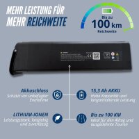 2er Pack Camp-20D & 20H Falt Pedelec/E-Bike 20 Zoll Schwarz smartEC