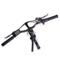 Falt-Pedelec Camp-20D / E-Bike 20 Zoll matt Schwarz (Ausstellungsstück)