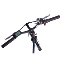 Falt-Pedelec Camp-20D / E-Bike 20 Zoll matt Schwarz