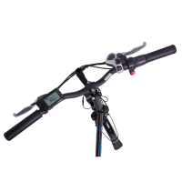 E-Klapprad Camp-20H E-Bike 20 Zoll